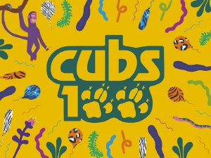 Cubs-100